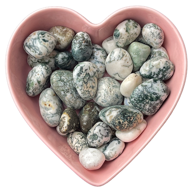 Tree Agate Tumbled Stone Natural Gemstone - One Stone