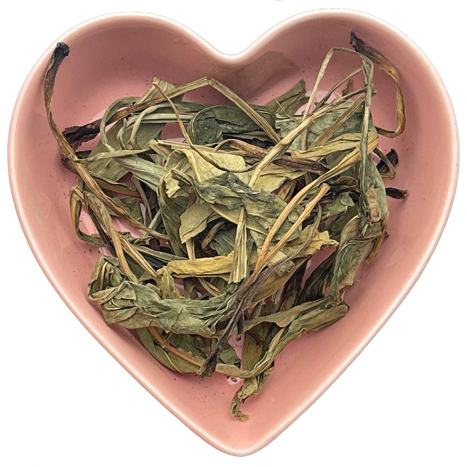Deer&#39;s Tongue 1 oz (Liatris odoratissima)
