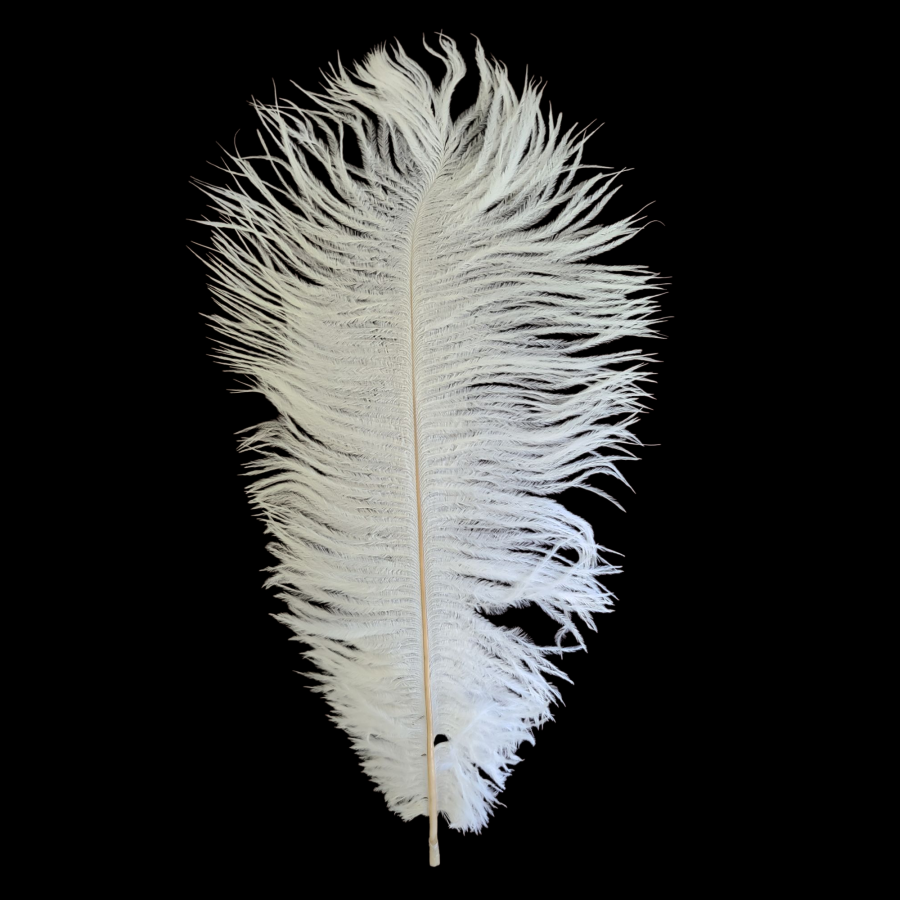 10-14&quot; Ostrich White Feather