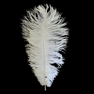10-14&quot; Ostrich White Feather