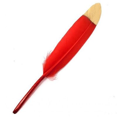 5-6&quot; Passion Red Feather with Golden Tip, SKU K02-03-FTH-SML-RDGT-1, UPC 700317354871