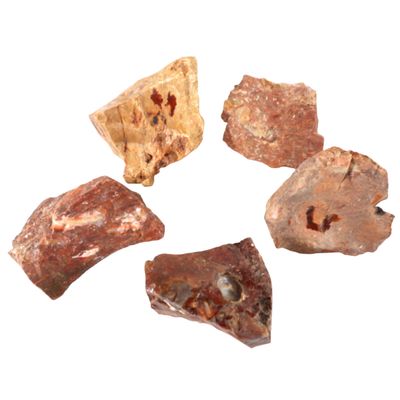 1-2&quot; Opal in Rhyolite Specimen, SKU CLOR3, UPC 700317065791