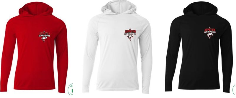 Dri-Fit Hooded Long Sleeve Shirt