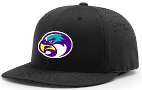 Seahawks Black FlexFit Hat