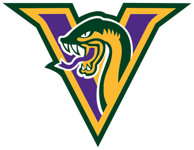 Vipers Baseball Club