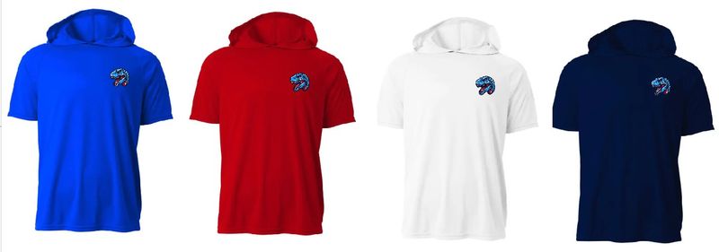 Raptors Short Sleeve Dri Fit Hoodie with Left Chest