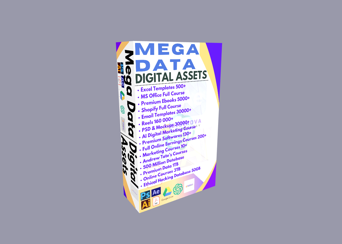 Mega Data Digital Assets