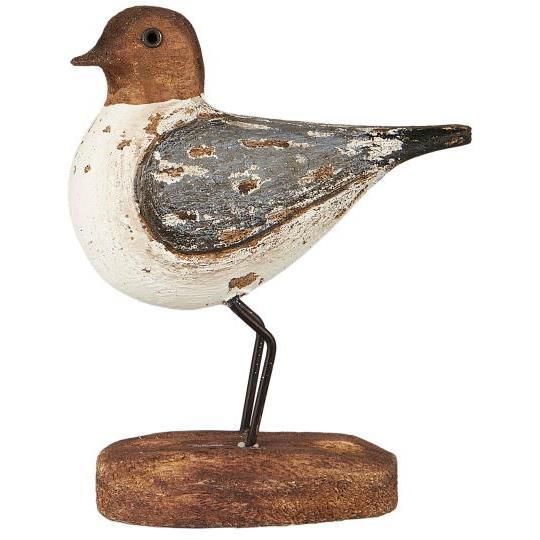 Dusty Blue Wing Bird