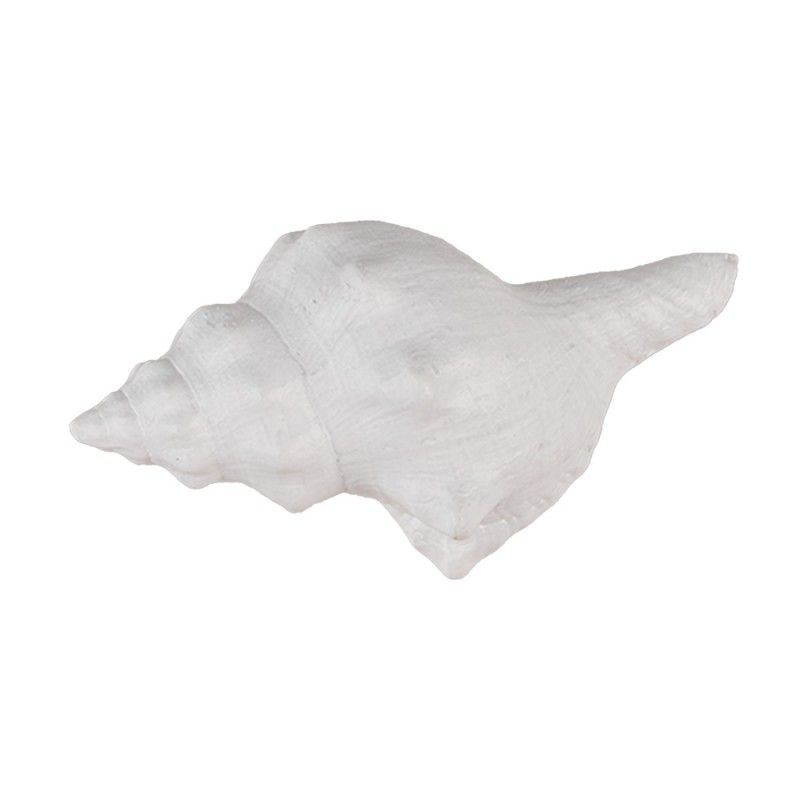 White Shell Drawer Knob