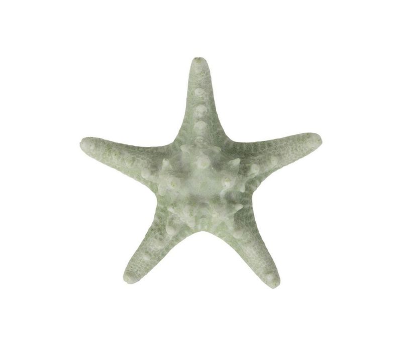 Sea Green Decorative Starfish