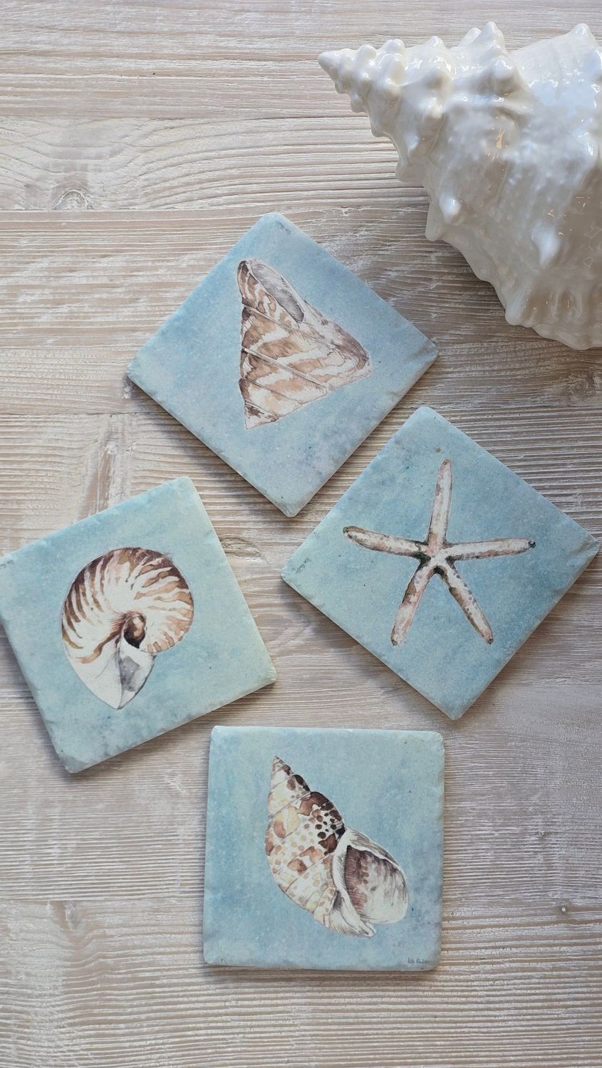 Set of 4 Resin Shell Coasters