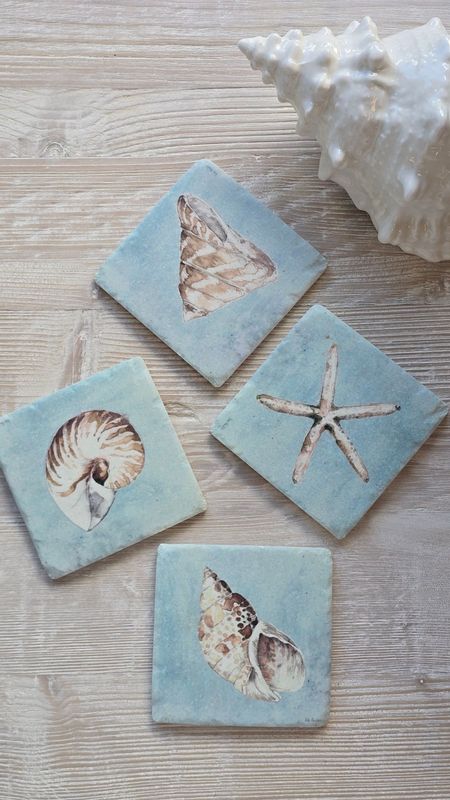 Set of 4 Resin Shell Coasters