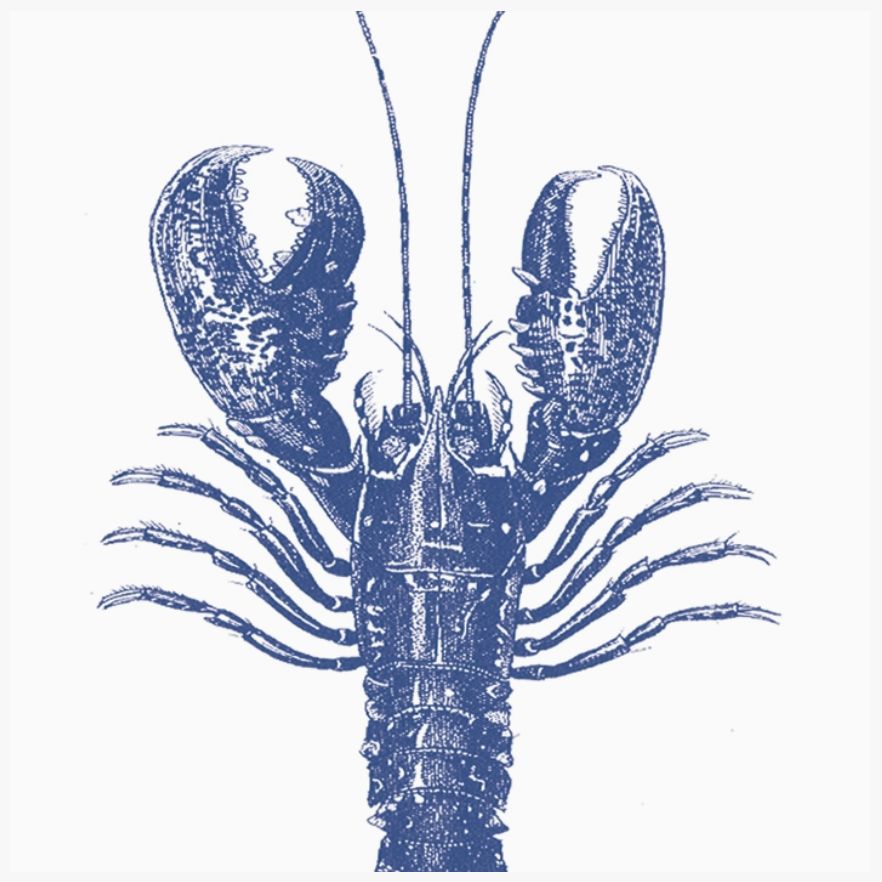 Blue Lobster Lunch Napkins Blue Lobster Lunch Napkins