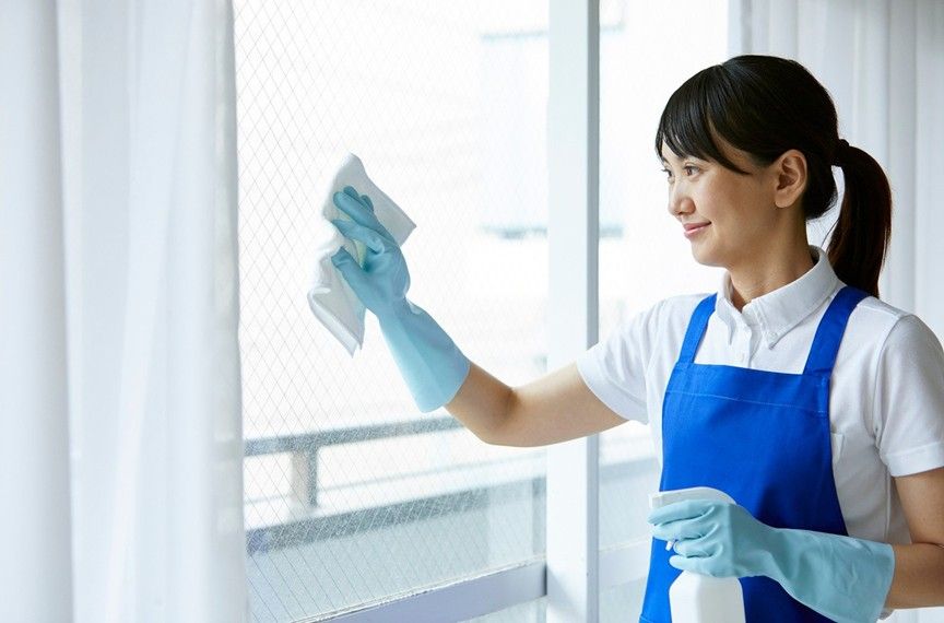 Domestic Worker Contract