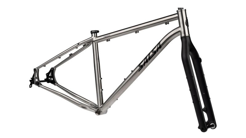 Salsa Fargo Ti Frameset - 29&quot;, Titanium, Raw, X-Large