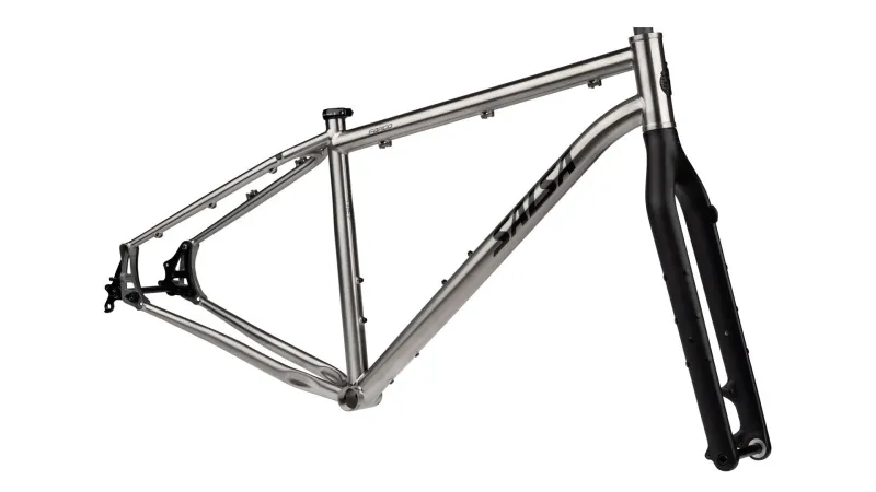 Salsa Fargo Ti Frameset - 29&quot;, Titanium, Raw, Medium