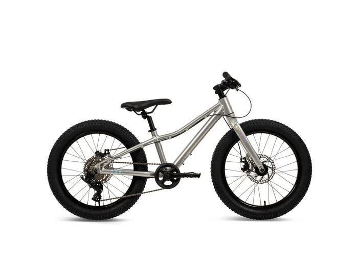 Batch KIDS MTN 20" 8Spd Platinum Holographic