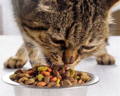 Dry Food
