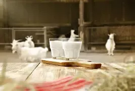 Goat Milk