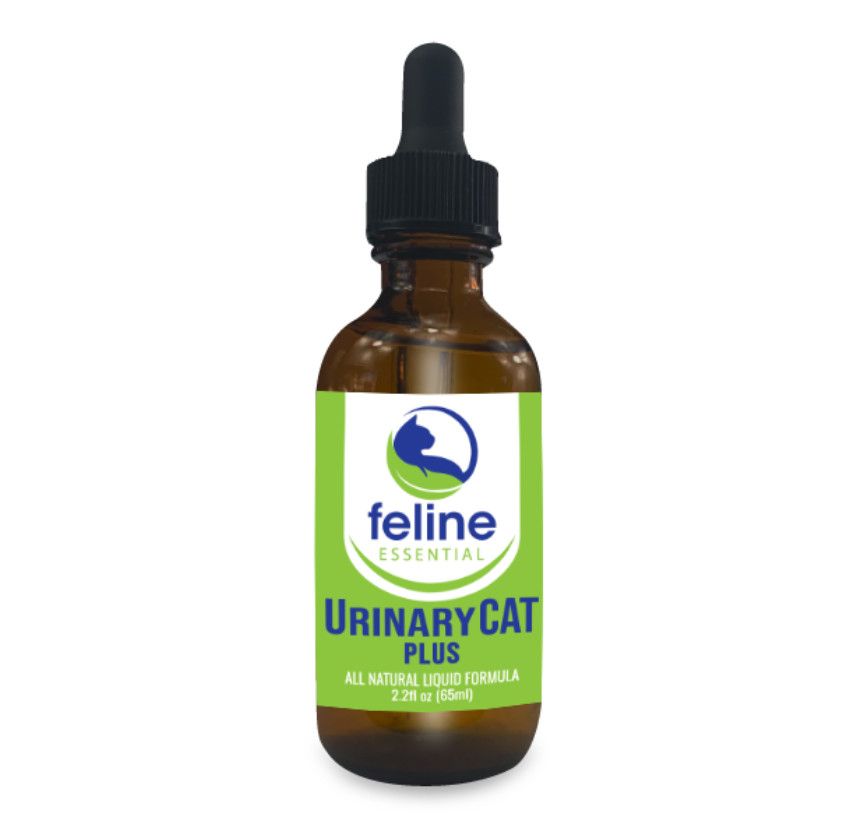 UrinaryCAT Plus Two Crazy Cat Ladies