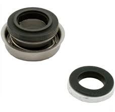 Balboa Vita Pump Seal Kit
