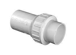 Unionized Check Valve