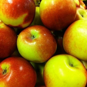 Apples