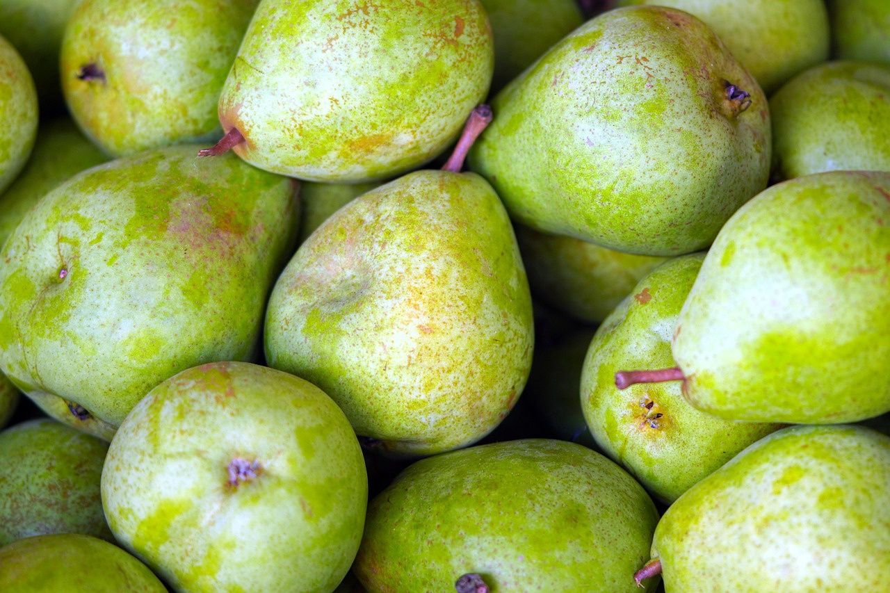 Bare Root Pear - Gem