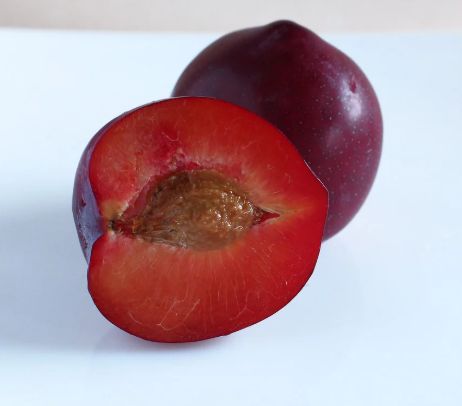 Bare Root Plum - Elephant Heart