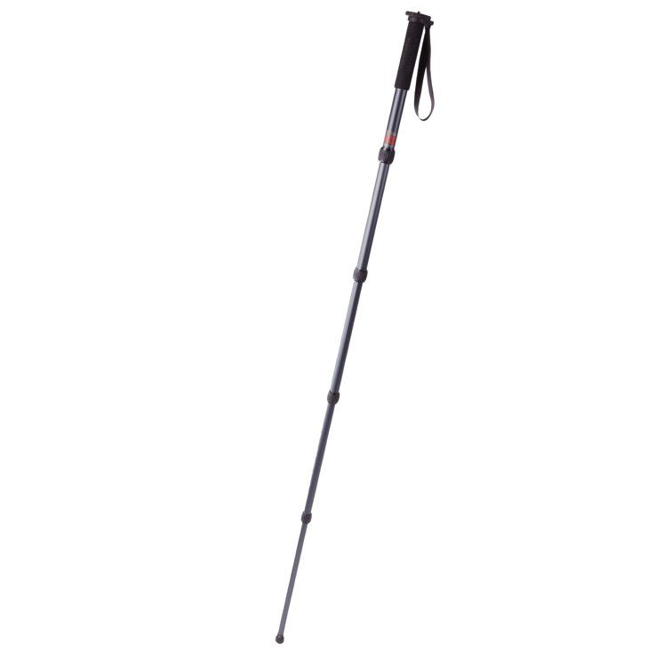 Professional MP528 Monopod