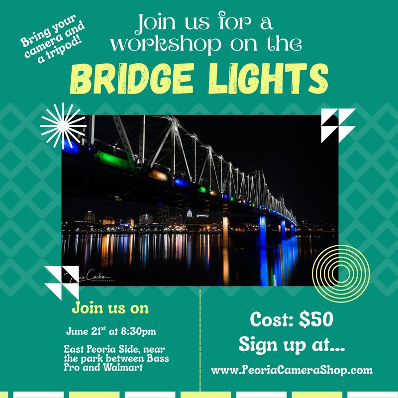 Bridge Lights