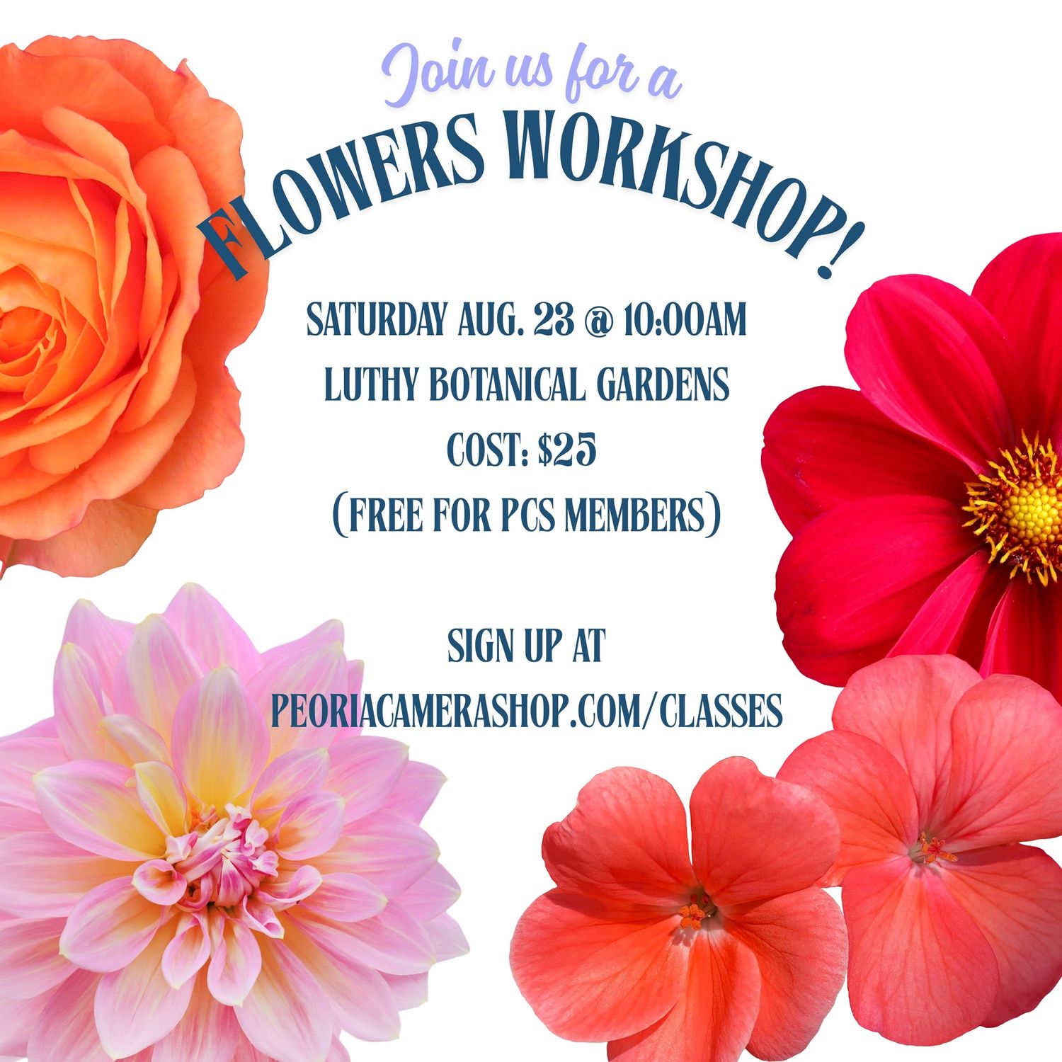 Flowers Workshop
