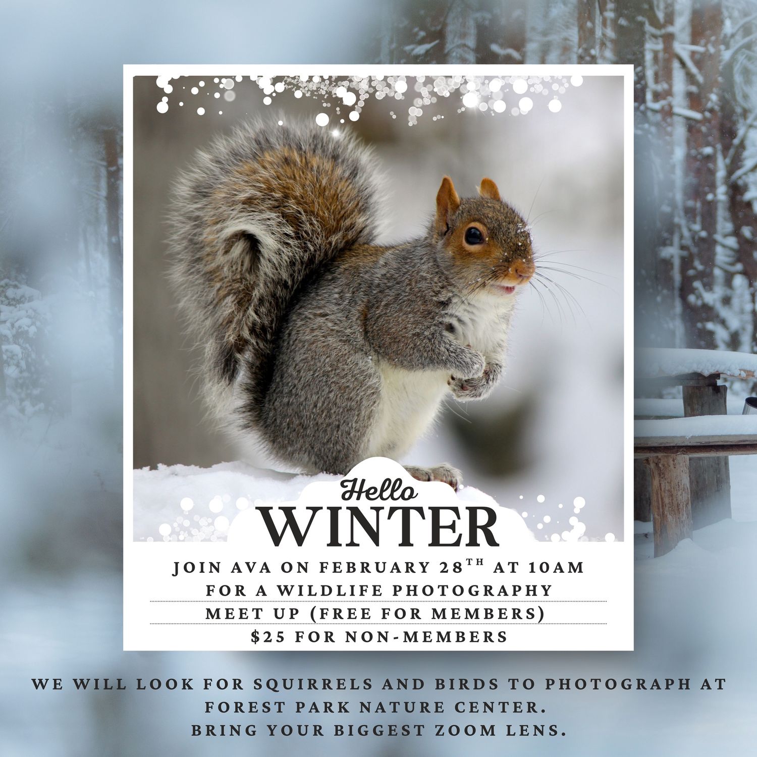 Wildlife Photography Meet Up