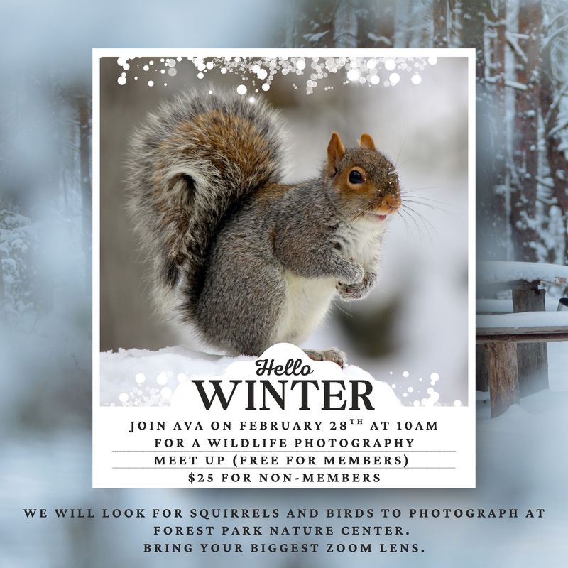 Wildlife Photography Meet Up