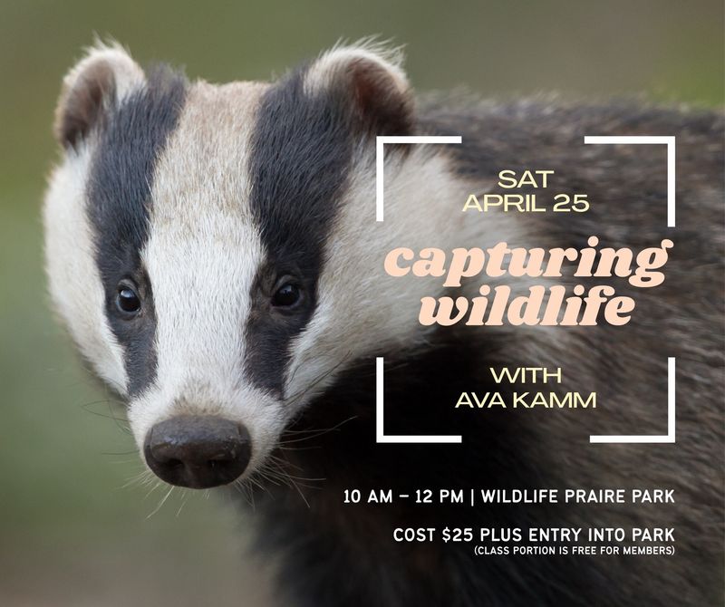 Wildlife Prairie Park Photowalk