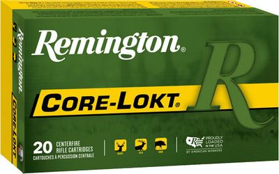 Rifle Ammo
