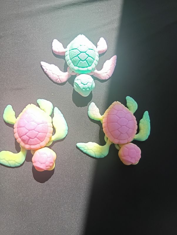 Sea turtles