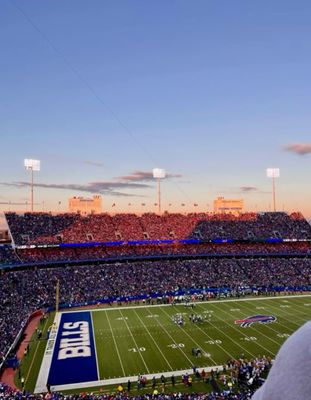 Buffalo and Spring Collections