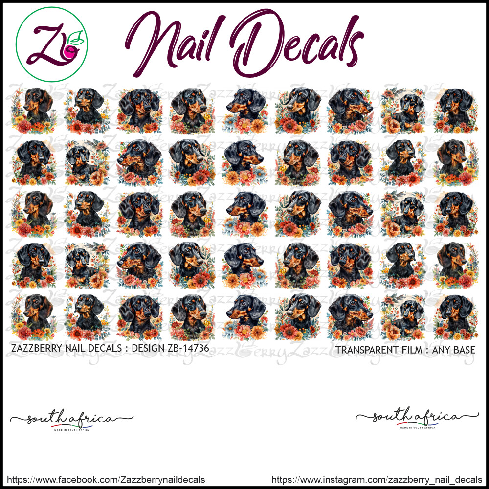 Dachshund and Flower