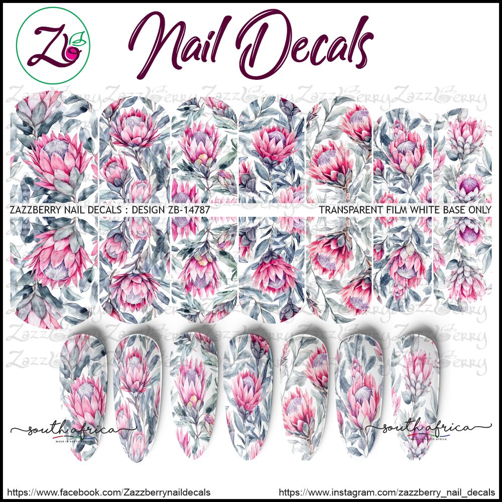 Midnight Protea Blooms