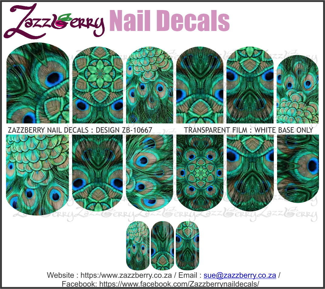 Peacock Feathers Real Peacock Feathers Real