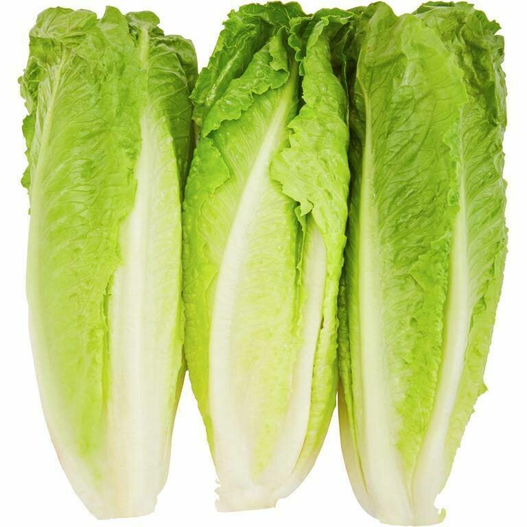 romaine lettuce or romaine hearts romaine lettuce or romaine hearts