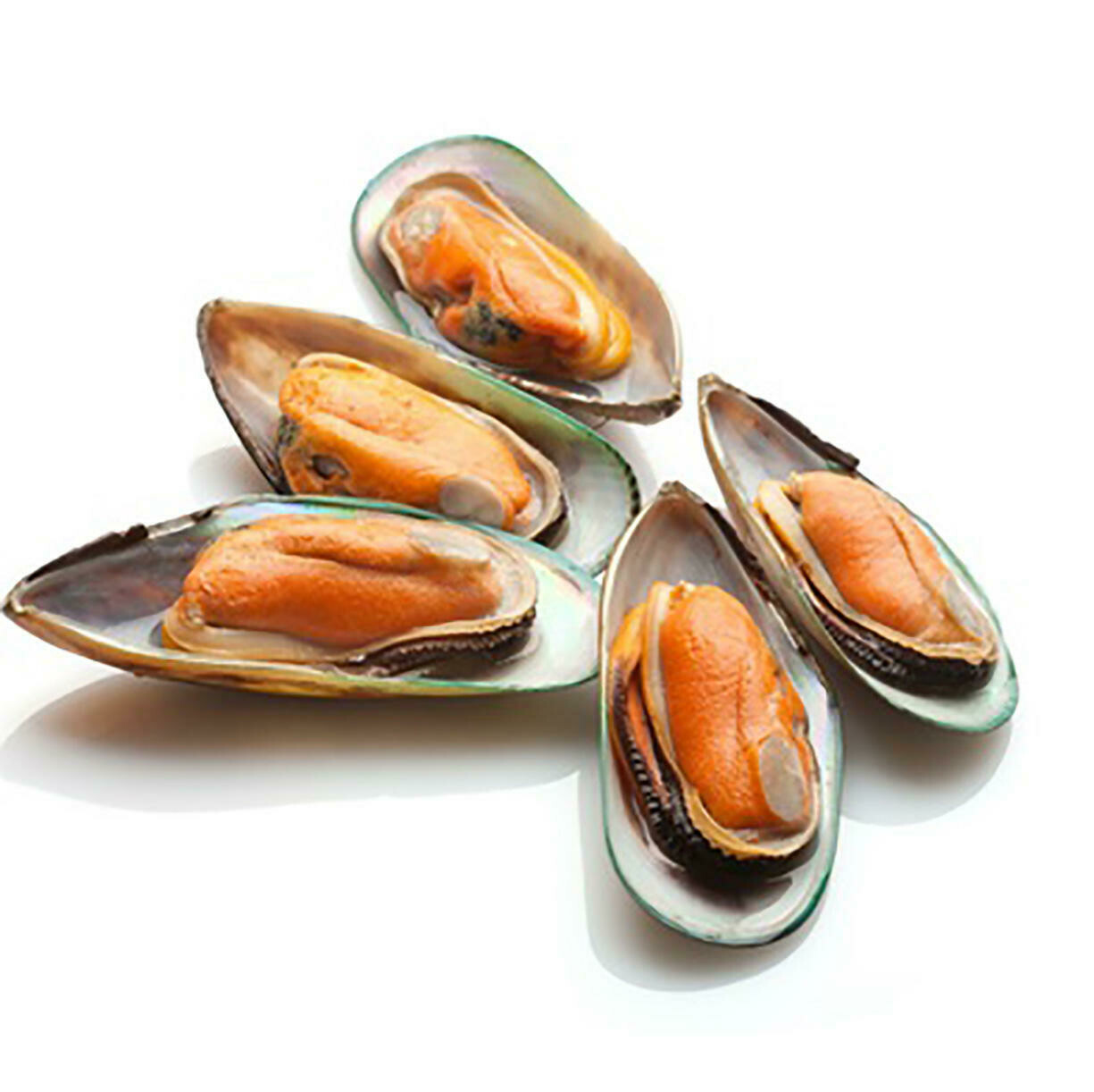* Frozen New Zealand Green Lip Half Shell Mussles IQF, Blanched, 2