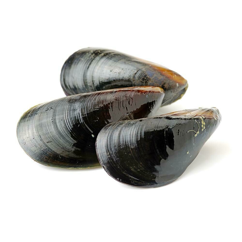 * Frozen Whole Chilean Mussels, Fully Cooked, Vac Pack, 2 Pounds