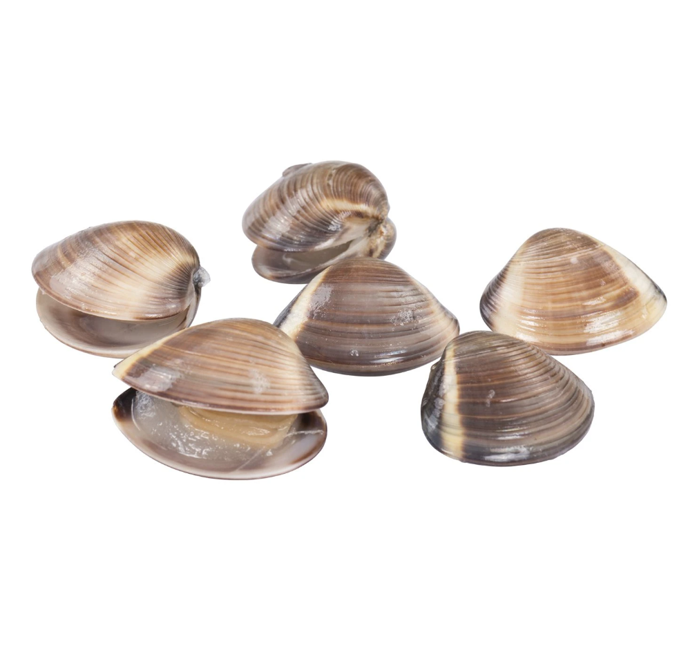 * Frozen Whole Brown Clams, 1722 Count 1 Pound
