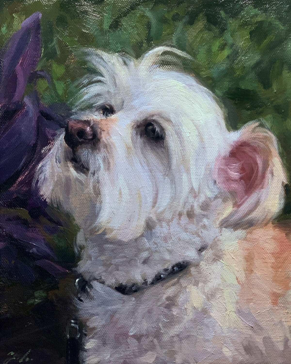 9 x 12 inch - Pet Custom Oil Portrait Painting from