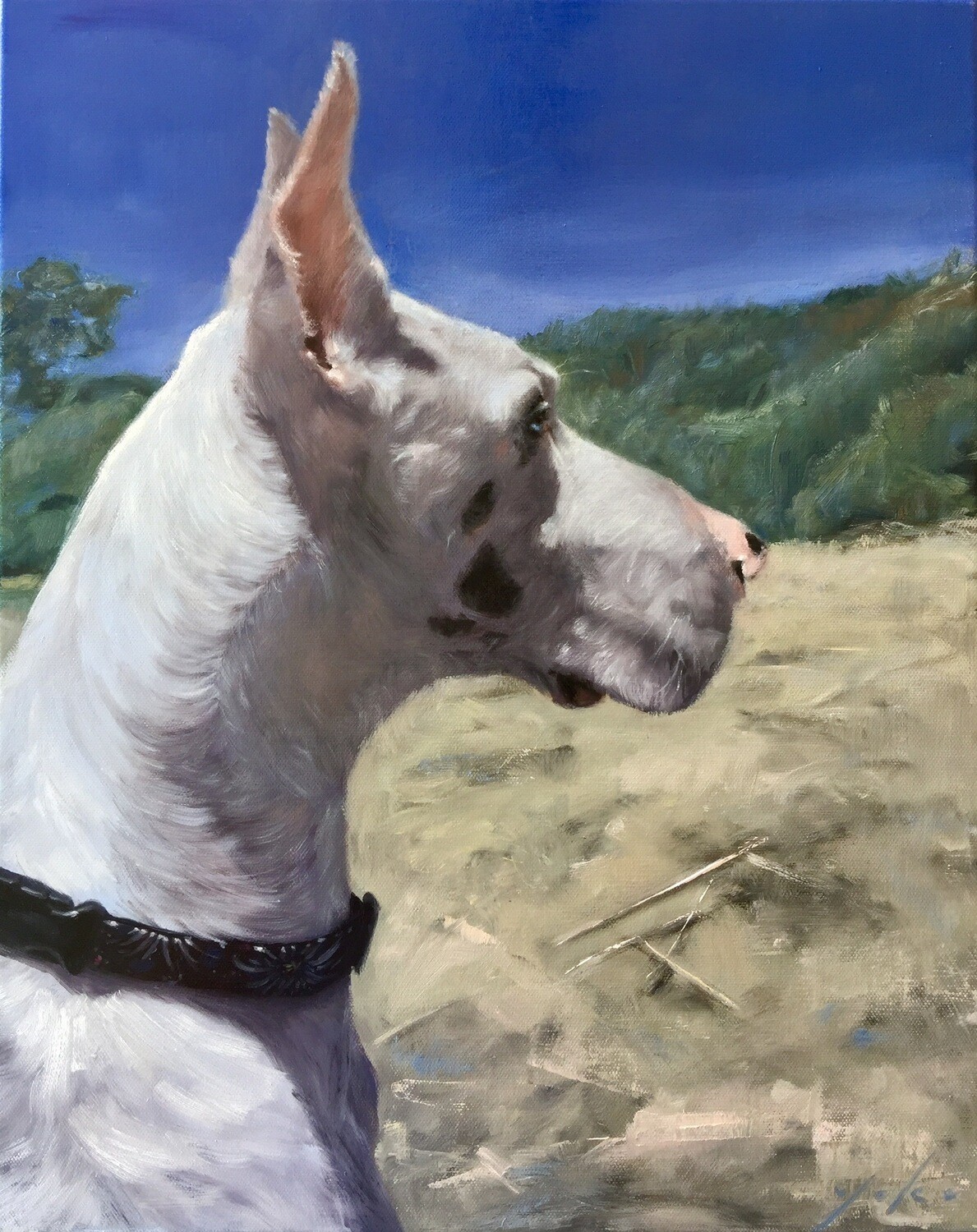 16x20 inch - Pet Custom Oil Portrait Painting from