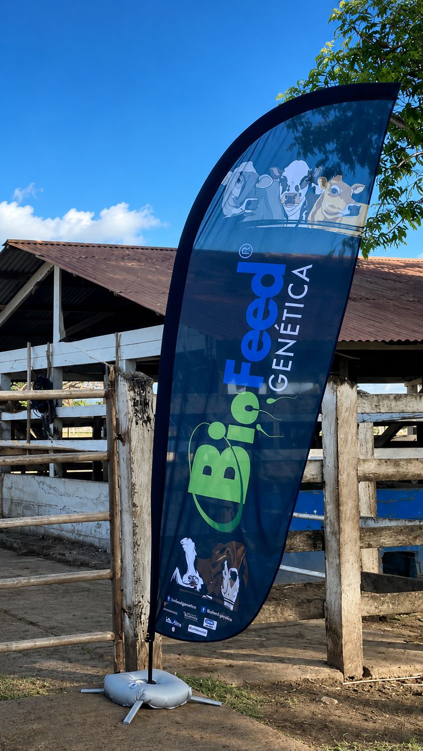 Fly Banner