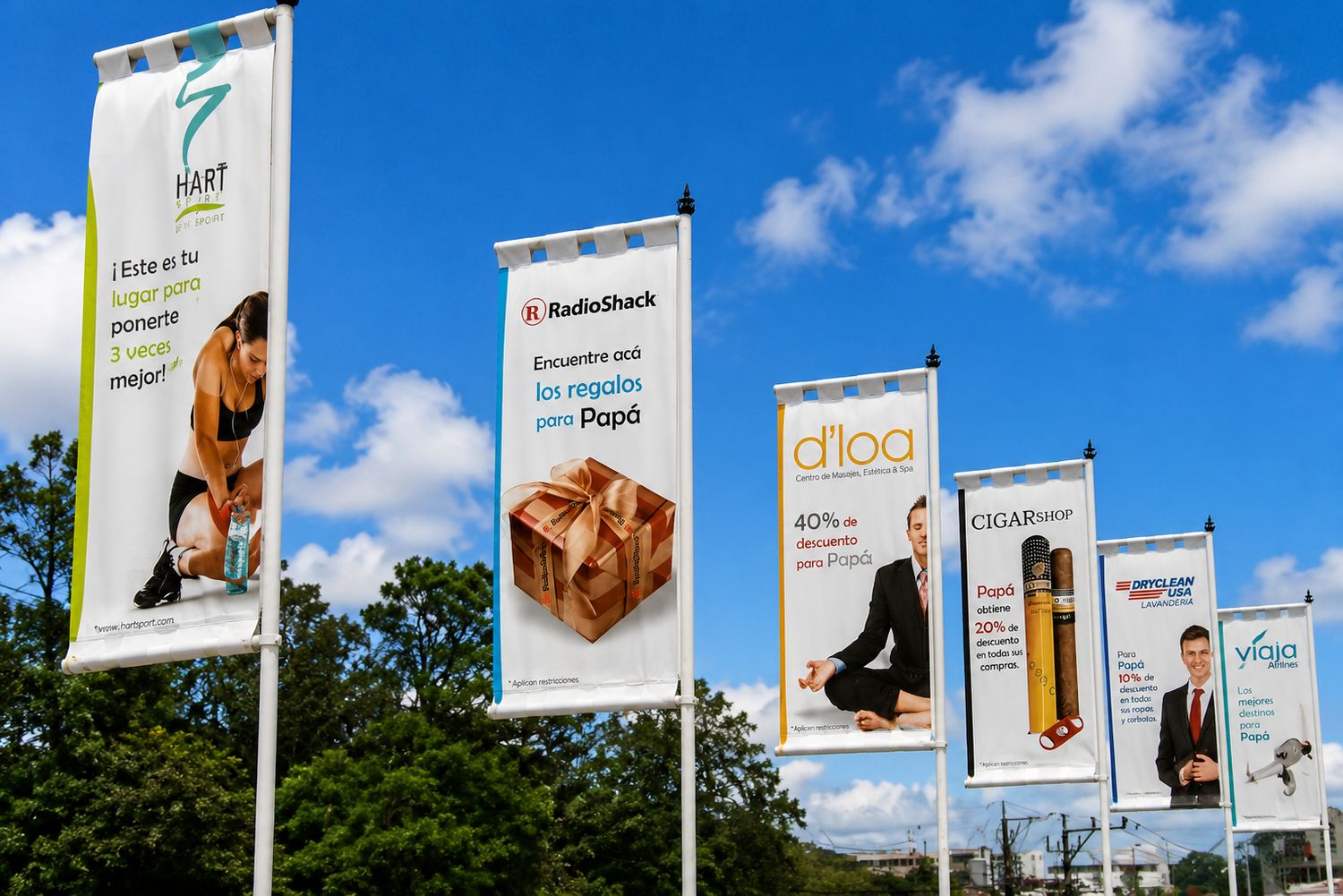 Fly Banner
