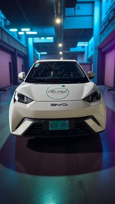 Eléctricos